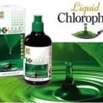 khasiat mengamalkan k-liquid klorofil dari K-Link International