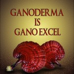 Bagaimana Ganoderma dan excellium membantu anda dalam menjalani gaya hidup sihat