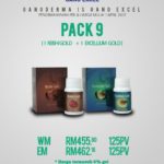 Gano Excel Malaysia B2B pack terkini